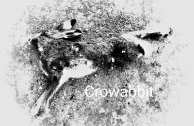 Crowabbit – Part 1